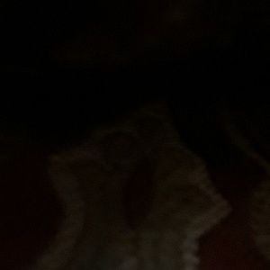 Meet your Posher, Violeta